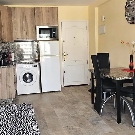 Apartament A Stone's Throw From The Golden Mile With Breathtaking Ocean And Mountain Views Playa de las Americas (Tenerife)